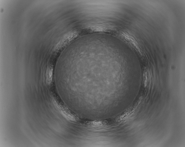 X0000086920406200704231310