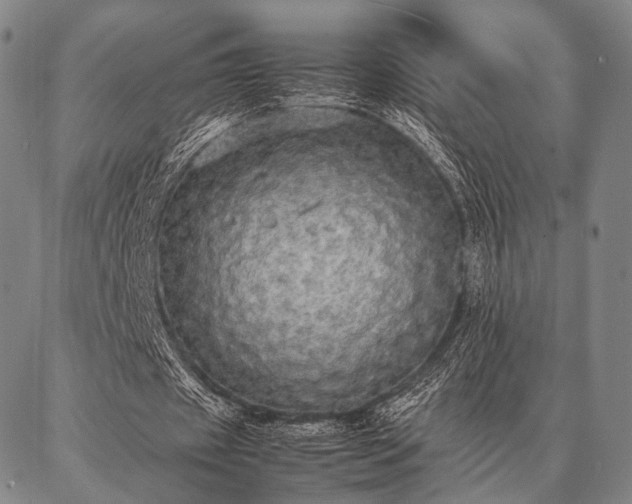 X0000086920433200704231309