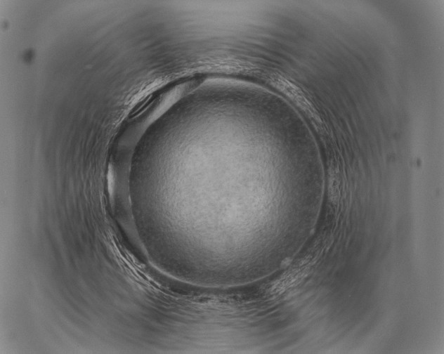 X0000086920434200704231309