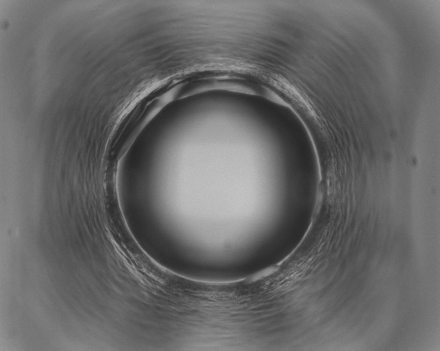 X0000086920436200704231309