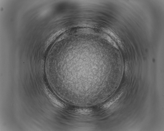 X0000086920445200704231309