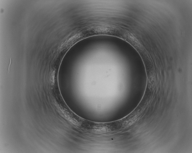 X0000086920454200704231309