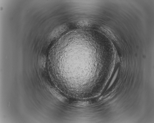 X0000086920458200704231309