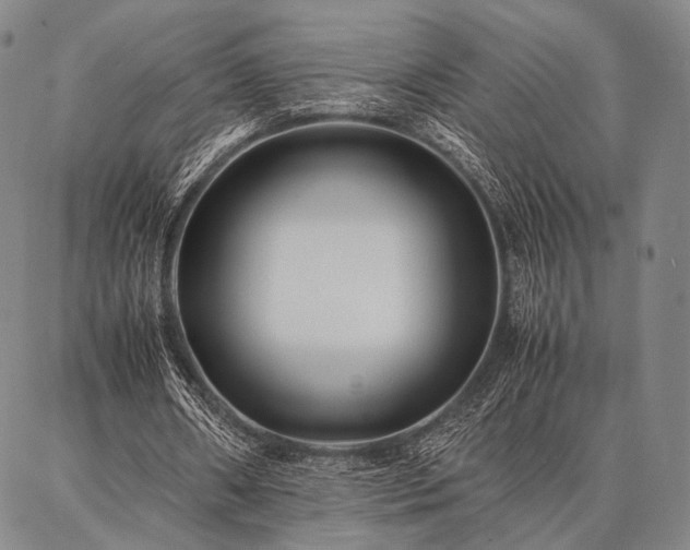 X0000086920482200704231309
