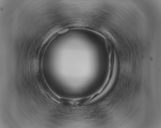 X0000086920484200704231309