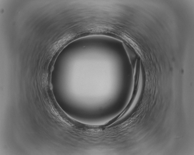 X0000086920485200704231309