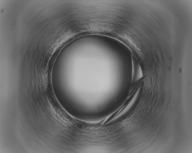 X0000086920488200704231309