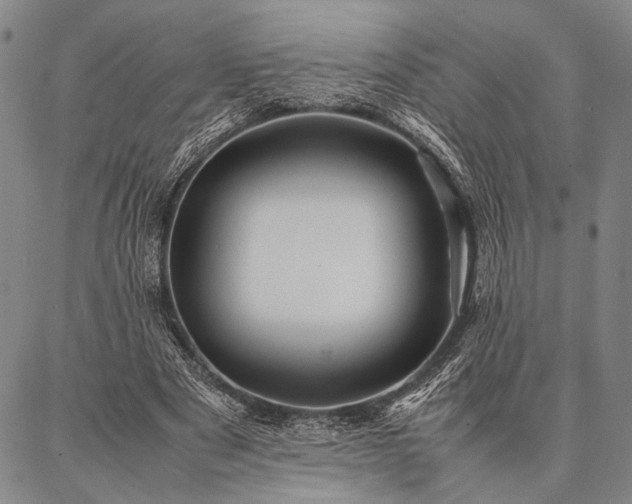 X0000086920489200704231309