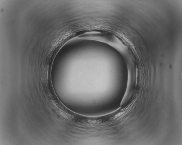 X0000086920493200704231309