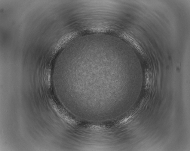 X0000086920494200704231309