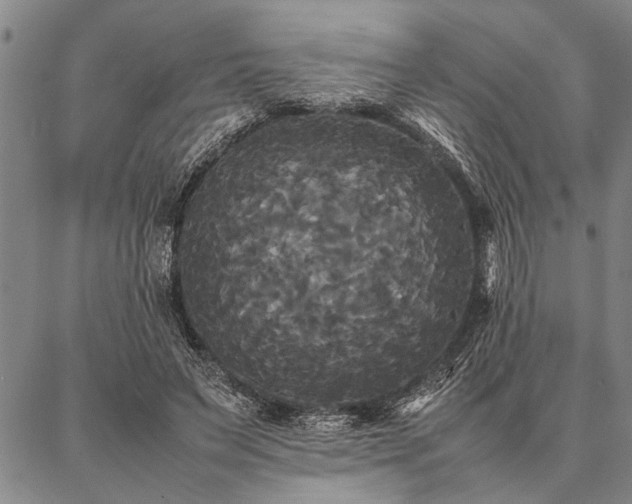 X0000086920495200704231309