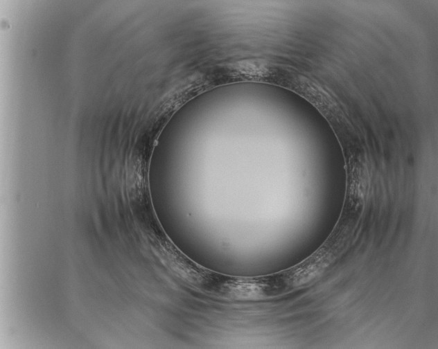 X0000086920518200704231308