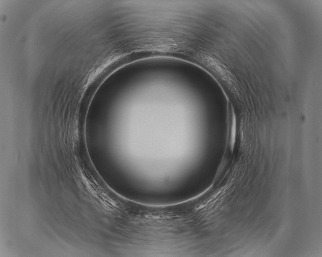 X0000086920532200704231307