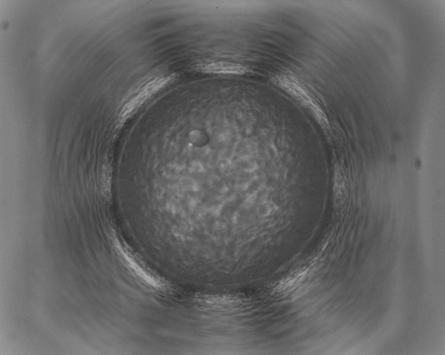X0000086920533200704231307