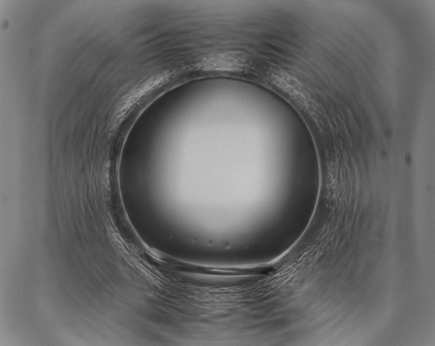 X0000086920535200704231307