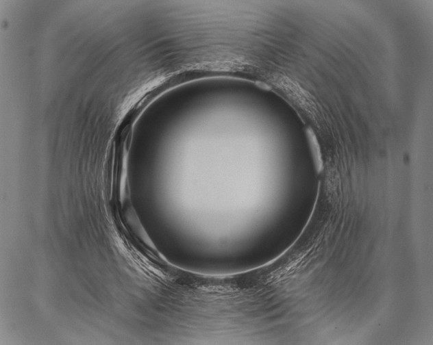 X0000086920536200704231307