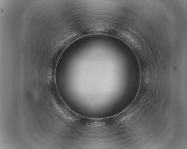 X0000086920546200704231308