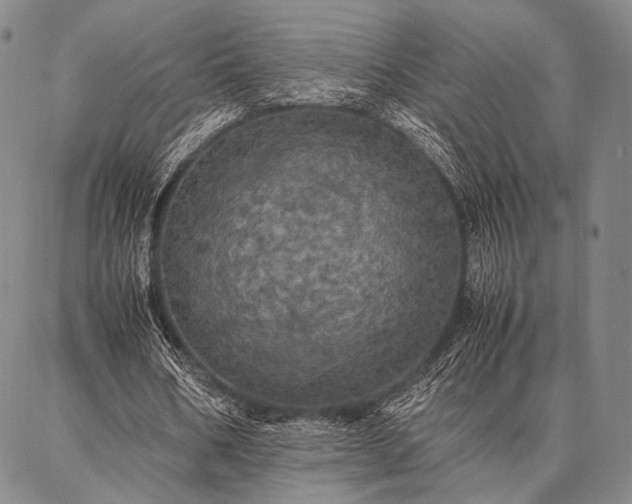 X0000086920578200704231307