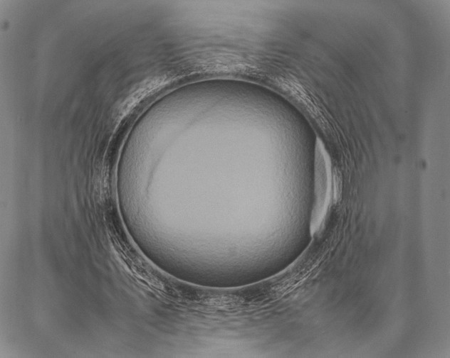 X0000086920579200704231307