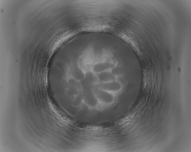 X0000086920582200704231307