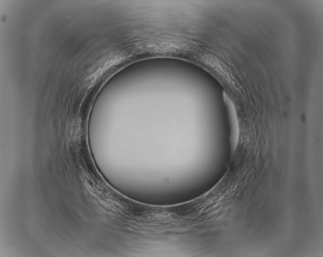 X0000086920583200704231307