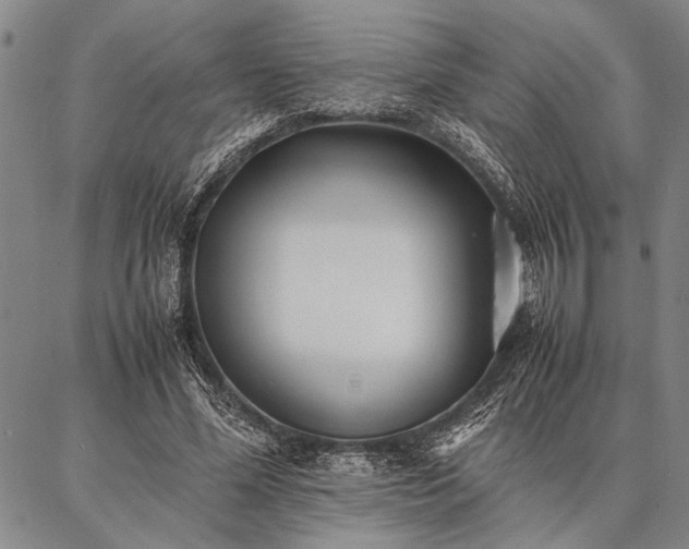 X0000086920588200704231307