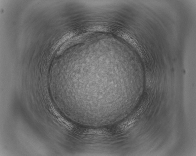 X0000086920625200704231306