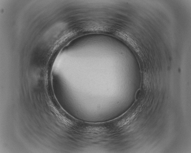 X0000086920629200704231306
