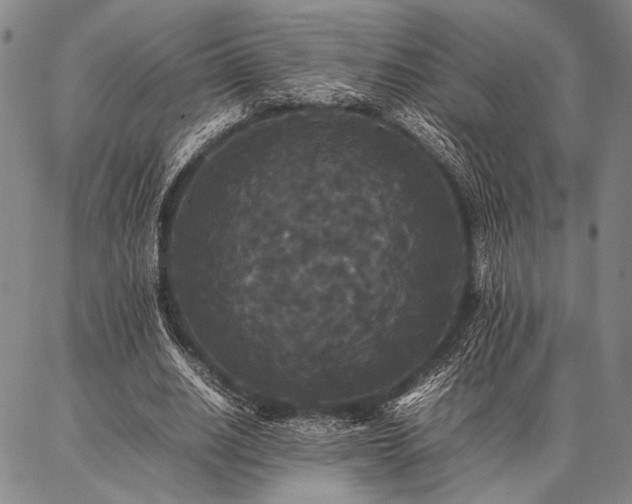 X0000086920630200704231306