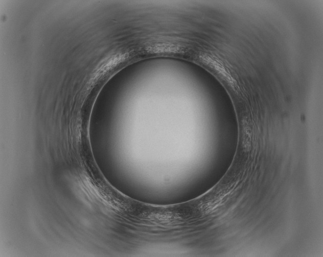 X0000086920631200704231306