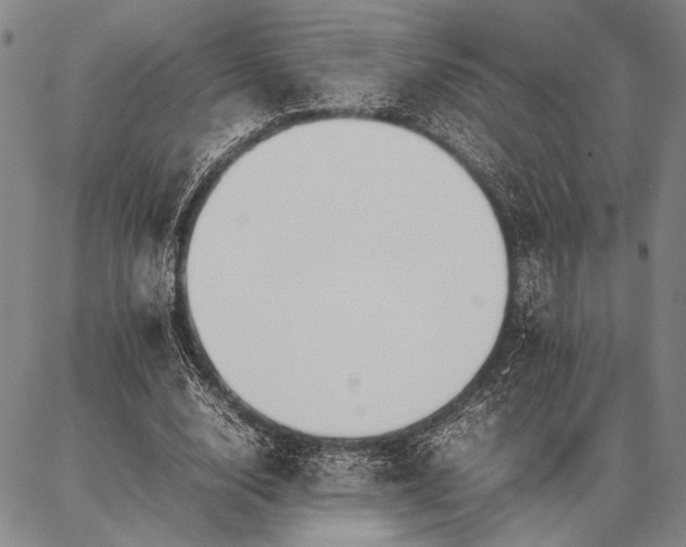 X0000086920632200704231306
