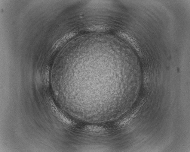 X0000086920633200704231306