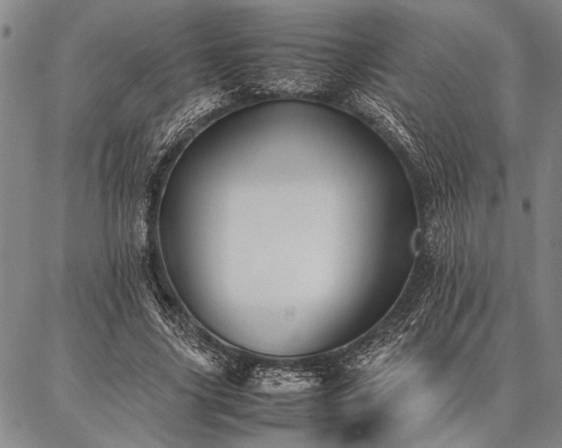 X0000086920635200704231306