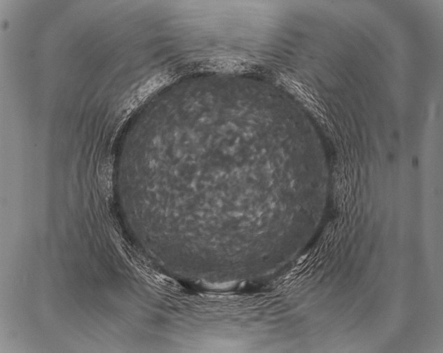 X0000086920679200704231306