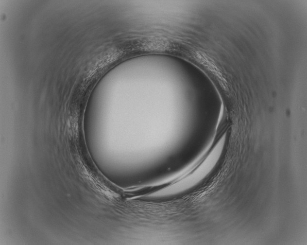 X0000086920681200704231306