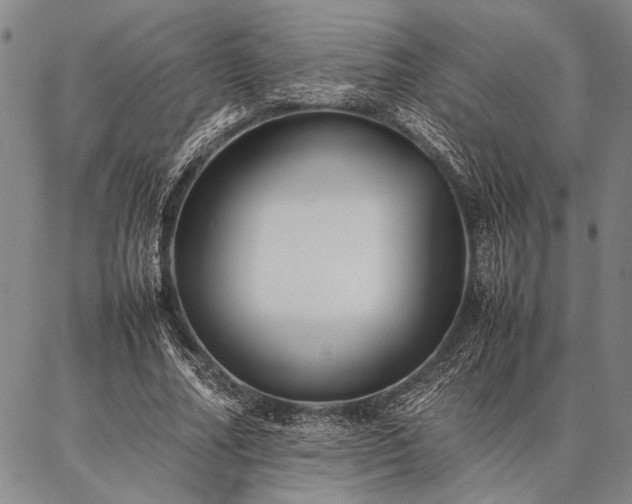 X0000086920682200704231306