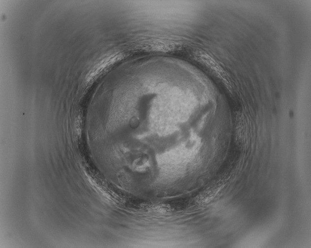X0000086920683200704231306