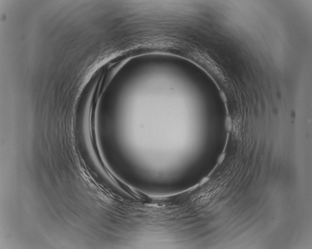 X0000086920724200704231304