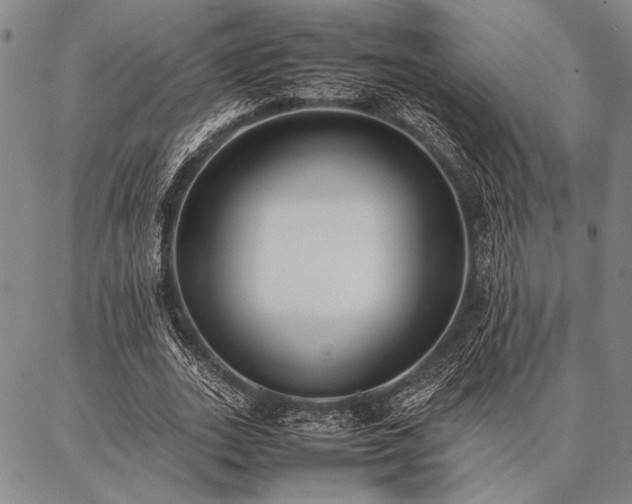 X0000086920727200704231304