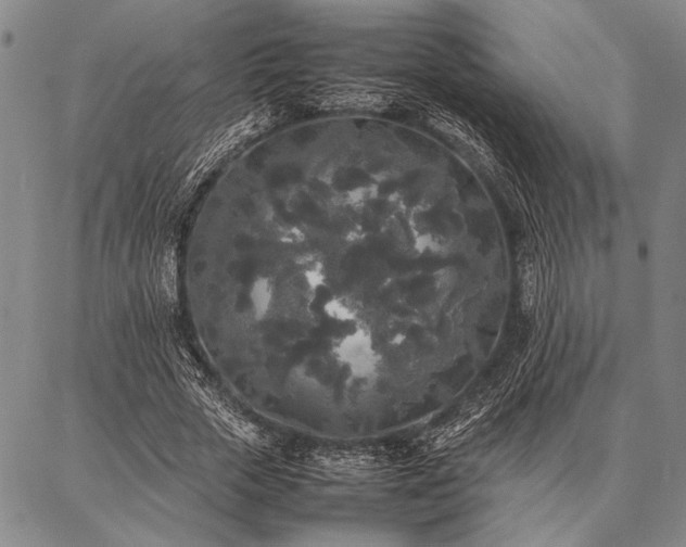 X0000086920729200704231304