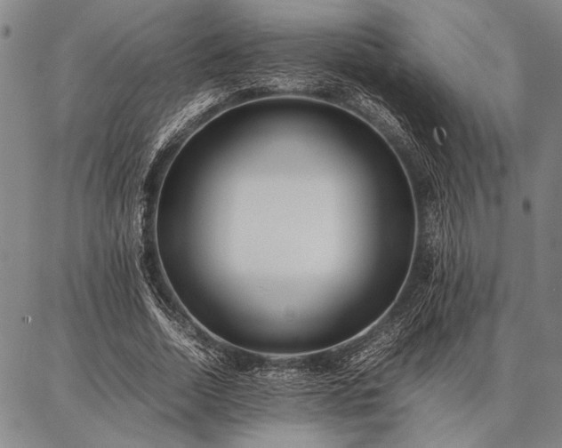 X0000086920730200704231304