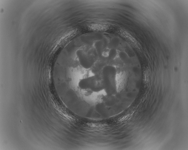 X0000086920733200704231304