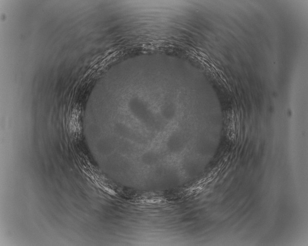 X0000086920770200704231304