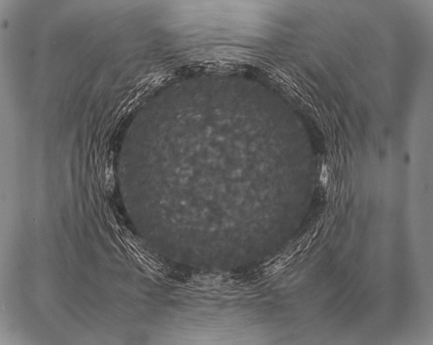 X0000086920771200704231304
