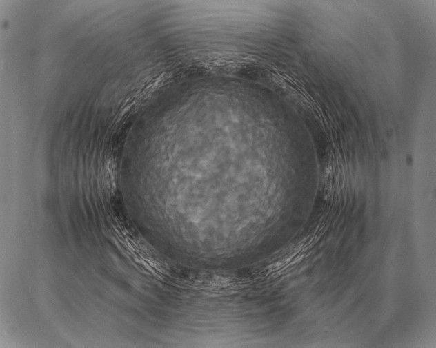 X0000086920772200704231304