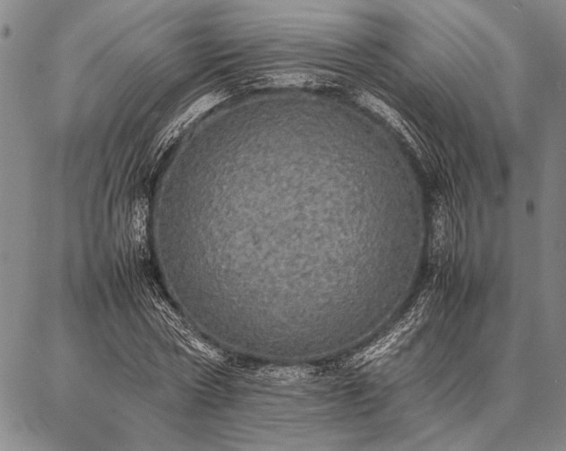 X0000086920778200704231304