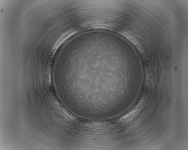 X0000086920782200704231304