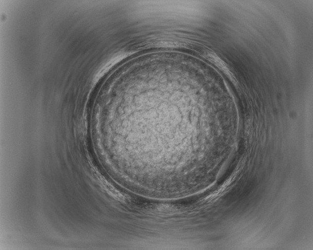 X0000086920787200704231304