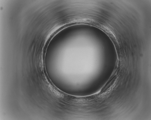 X0000086920792200704231304