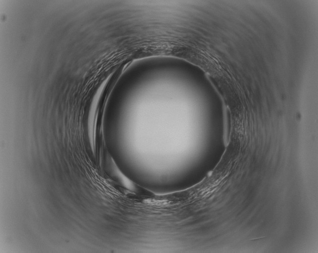 X0000086920818200704231303